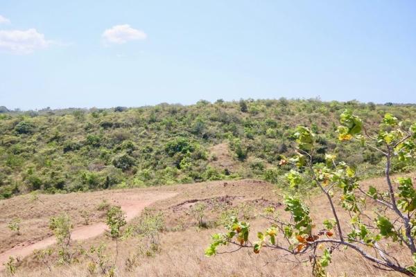 7.5 hectares land, ocean and mountains views