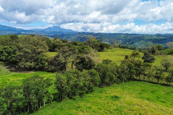 Expansive 146.652 ha property with water sources