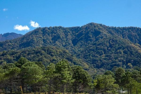 High-end off-grid home with volcán barú views