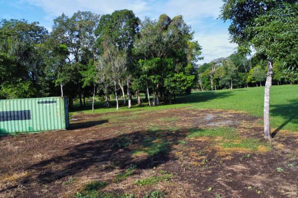 Lote de 1.86 hectáreas en potrerillos arriba dolega