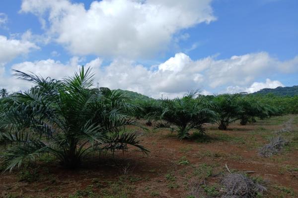 Finca bien concebida en una zona tranquila