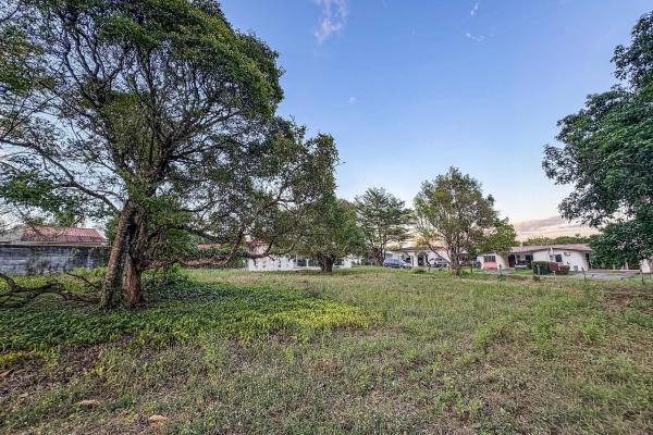 Terreno residencial en venta en la perla, david