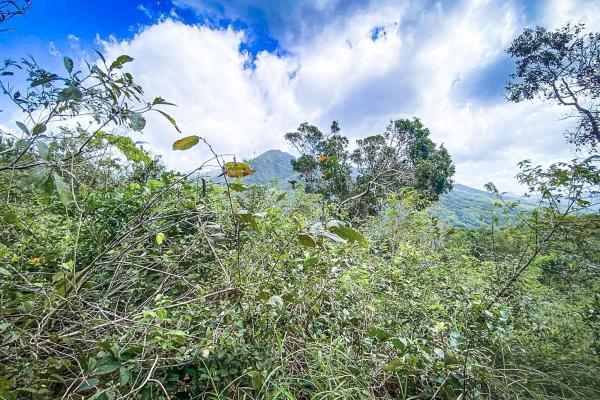 18.4 hectare land close to el cope, cocle