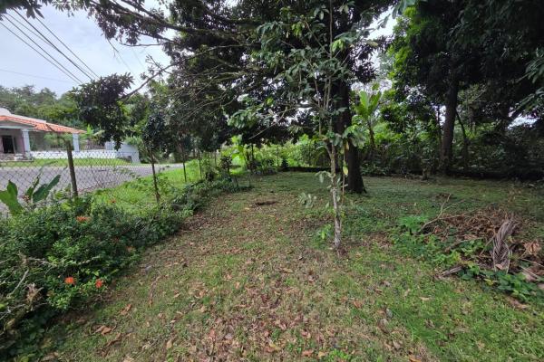 Land for sale in chepo