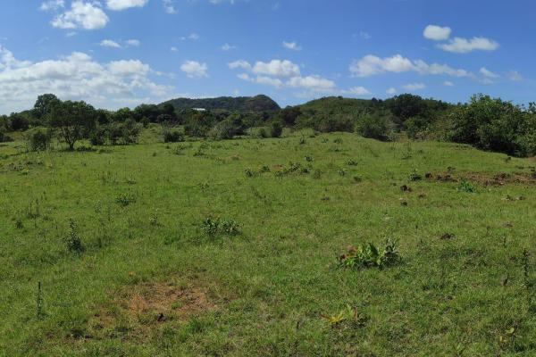 Investor opportunity: high-growth area in veraguas