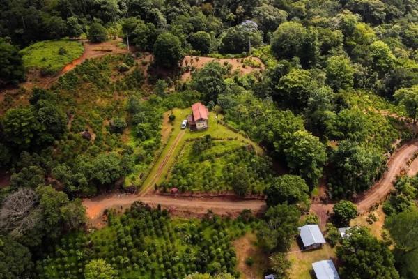 Coffee farm for sale in el cascajal, la pintada