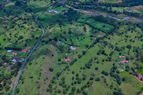 Land with a natural creek