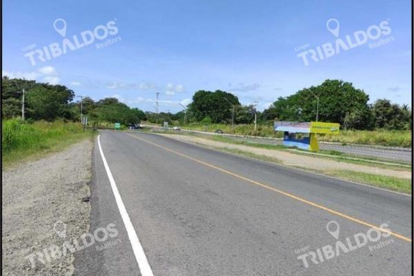 Land in front of panamericana in decameron