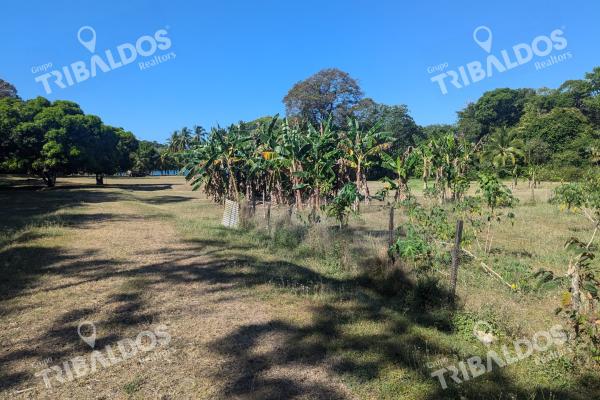 Venta de isla en panamá, isla cébaco
