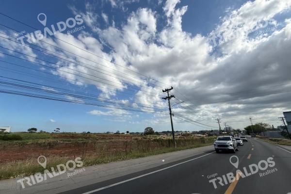 Land for sale in mañanitas