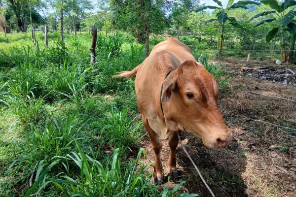Finca bien concebida en una zona tranquila
