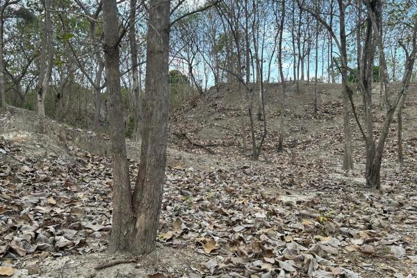 Piedras gordas land 1.1 htas