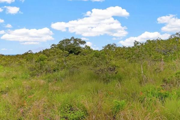 5,000 m² lot for sale on boquete main road