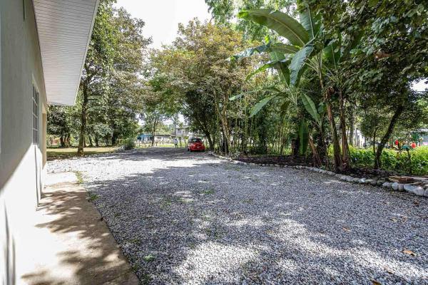 Duplex house for sale or rent in dolega, chiriqui