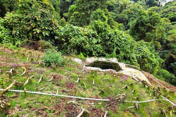 Finca agrícola en venta – cerro punta, chiriquí