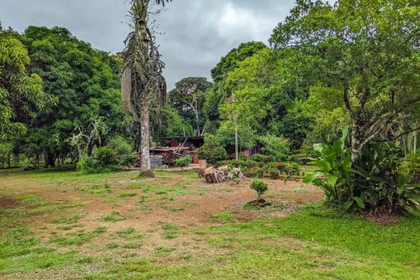 Roadside property with 2,906 m² in dolega