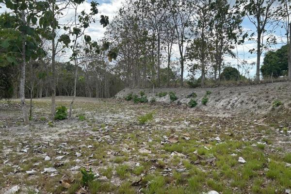 Piedras gordas land 1.1 htas