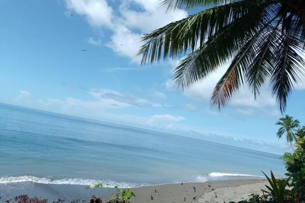 Land 172 acres in puerto armuelles, limones io