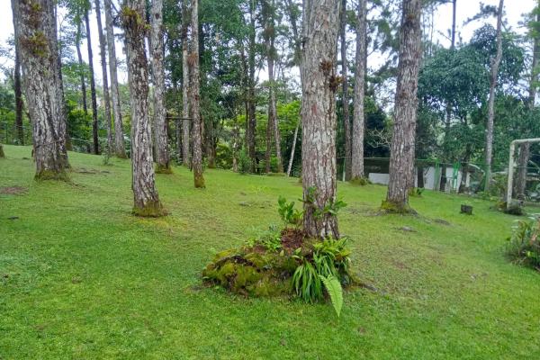 Altos de cerro azul house for rent