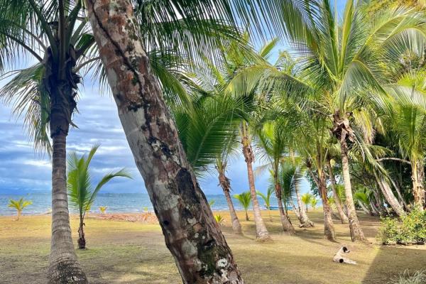 Beachfront off-grid home for sale