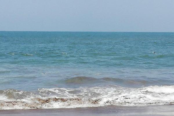 12-unit apartment complex for sale-pedasi,panama