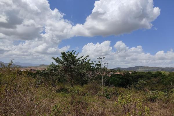 Real estate development in la mitra, chorrera