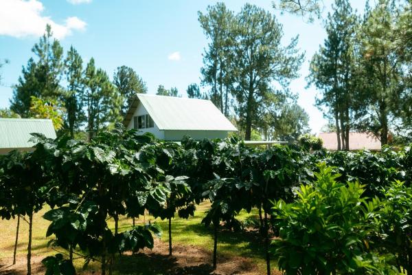 Casa de 3 dormitorios con llave en mano