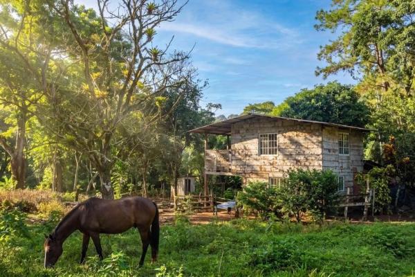 Coffee farm for sale in el cascajal, la pintada