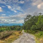 Terreno con vistas al bosque natural y a la montaña