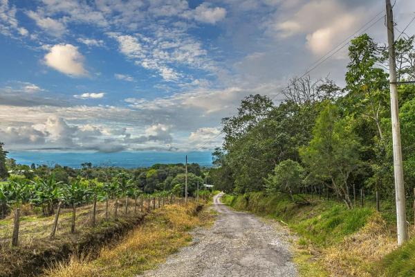 Land with natural forest and mountain views