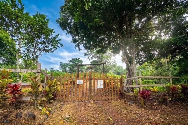 Coffee farm for sale in el cascajal, la pintada