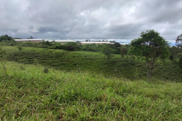 Finca con tierra negra, pasto, clima fresco y bien ubicada.