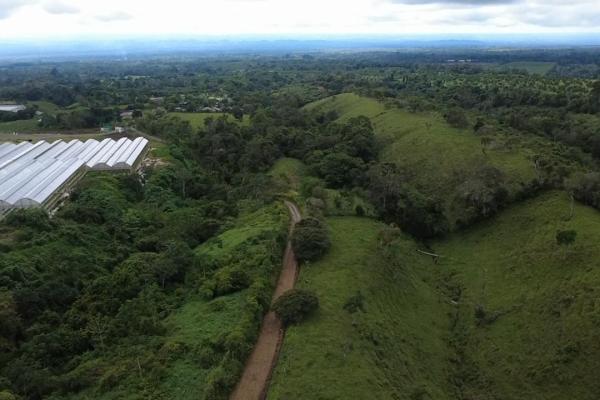 Finca con tierra negra, pasto, clima fresco y bien ubicada.