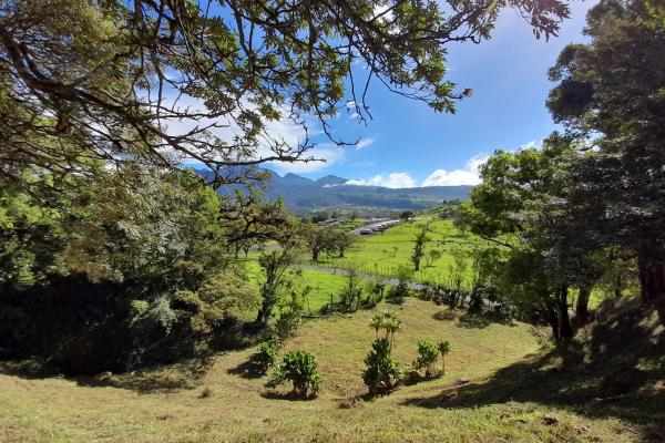 Prime volcán lot for sale