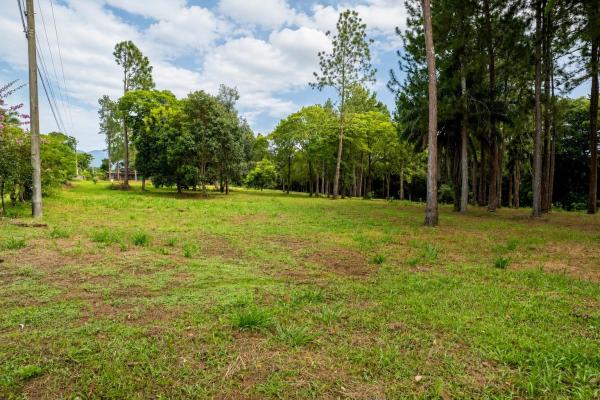 Se vende terreno de 1.9 hectáreas en potrerillos arriba