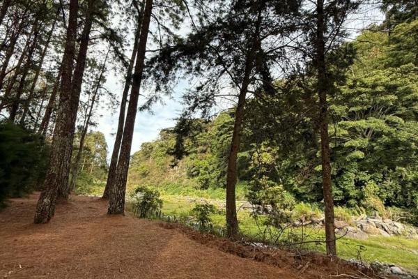 Private estate with river and hotel potential