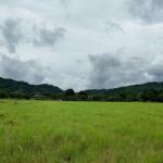 Prime development land for sale – 1.51 hectares