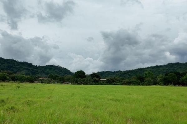 Prime development land for sale – 1.51 hectares