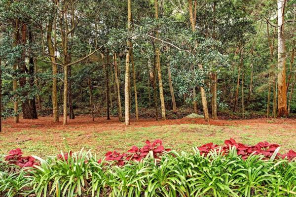 Finca frente al río bambito en venta | volcán panamá