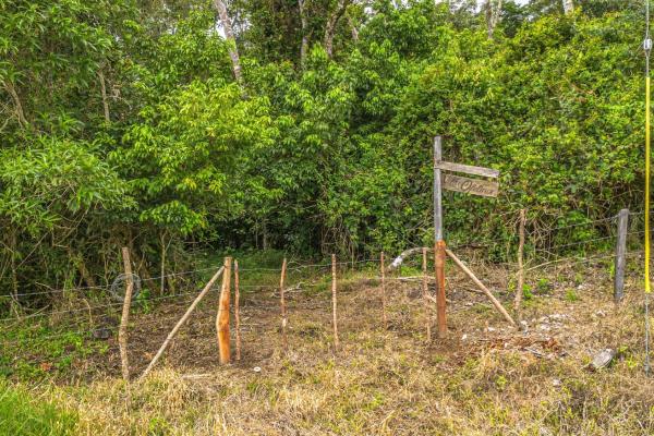 Land with natural forest and mountain views