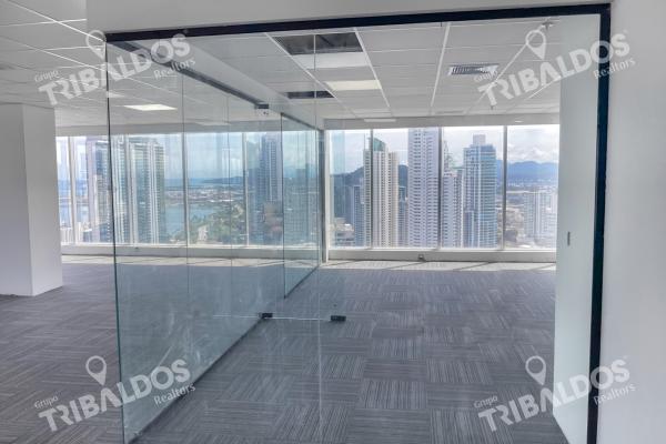Alquiler de oficina en evolution tower
