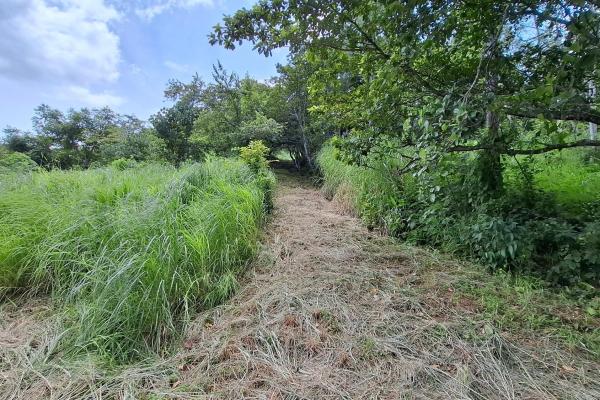 Chame/bejuco land for sale