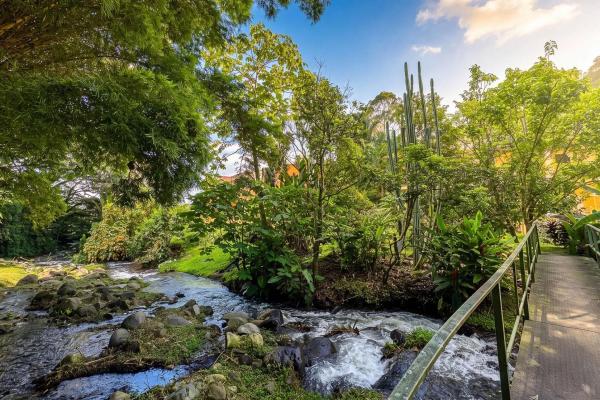 Amplio apartamento amueblado en planta baja en valle