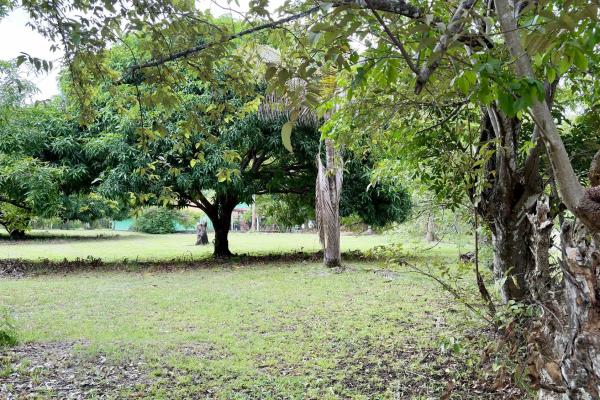 Venta de terreno en gorgona