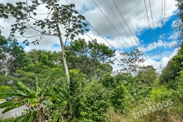 Venta de terreno en capira