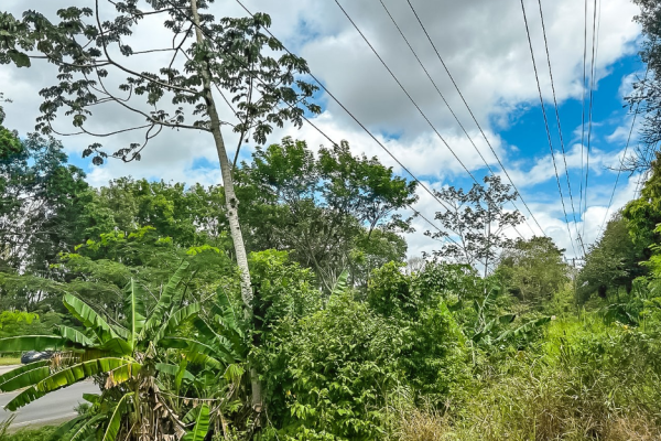 Venta de terreno en capira