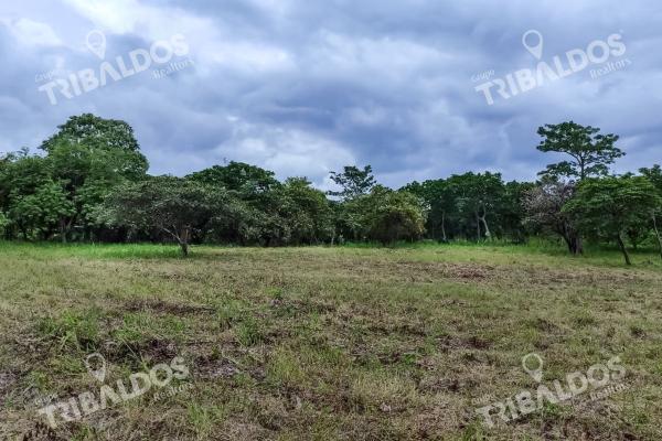 Se vende terreno en punta barco