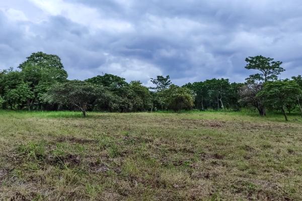 Se vende terreno en punta barco