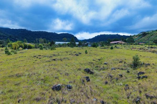 Large residential lot for sale – paso ancho