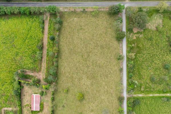 Prime flat land for sale in cochea abajo, david